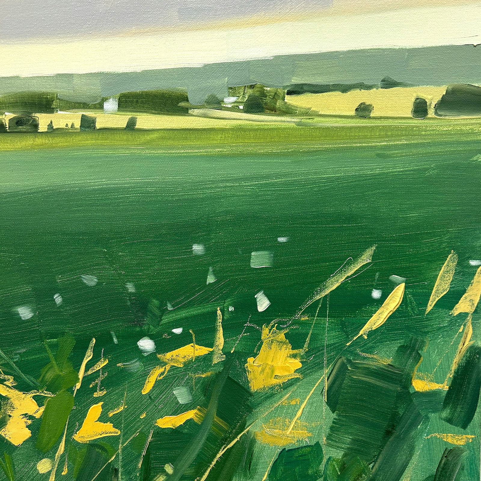 Sara MacCulloch, Summer Fields, 2023
