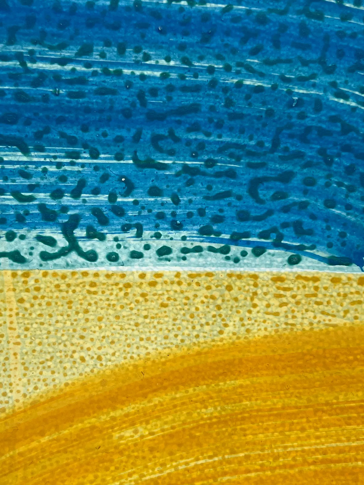 Ky Anderson, Book, 2024