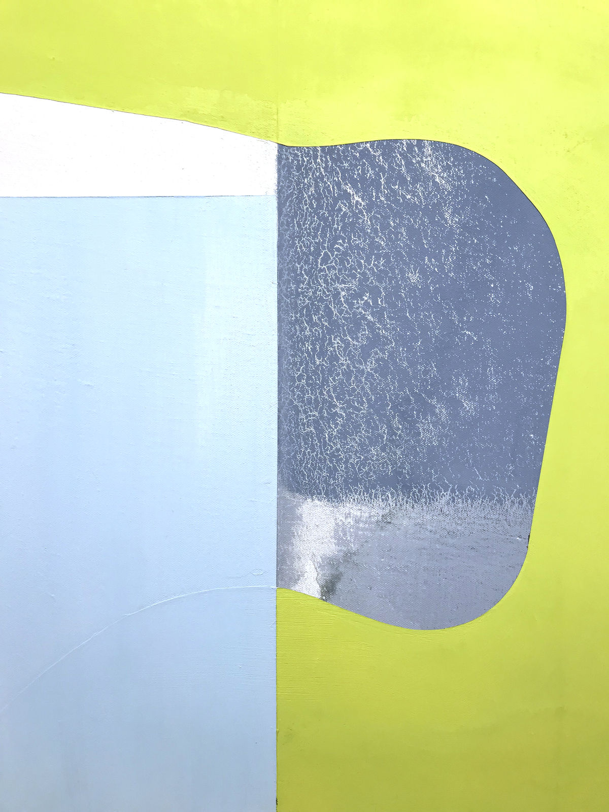 Marcelyn McNeil, Shifting Focus, 2017