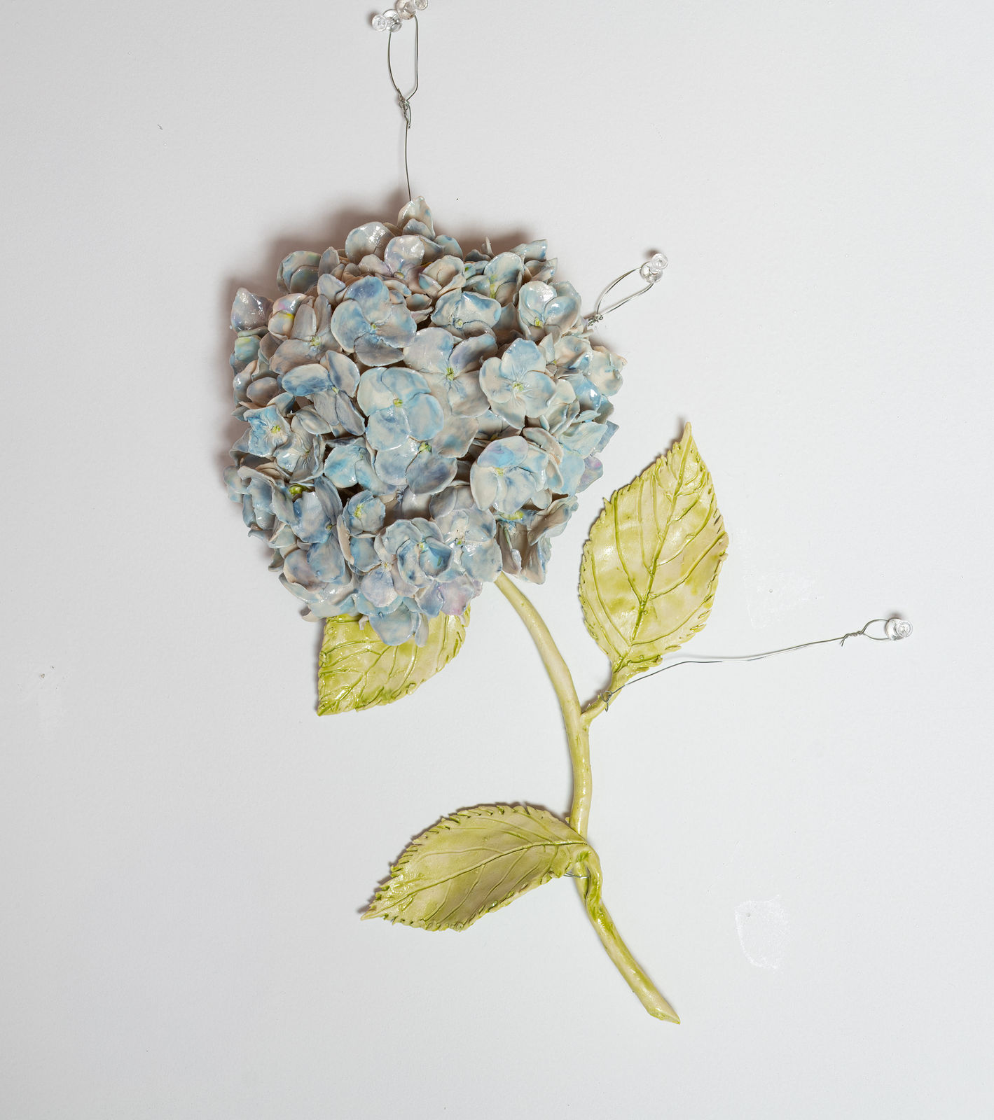 Monica Banks, Hydrangea 3, 2025