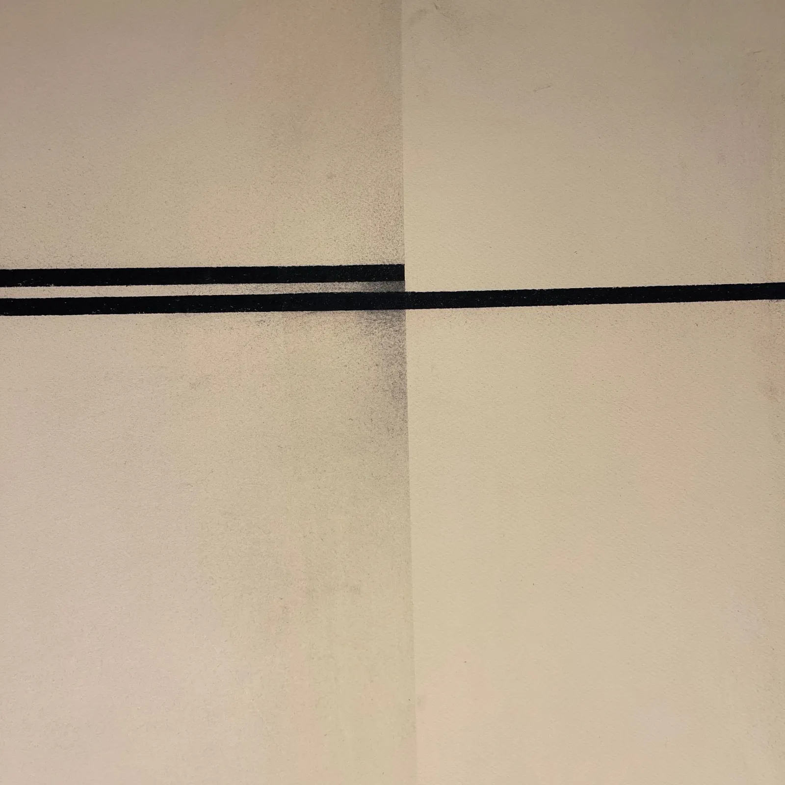 Daniel Brice, Figure/Pacific #5, 2022