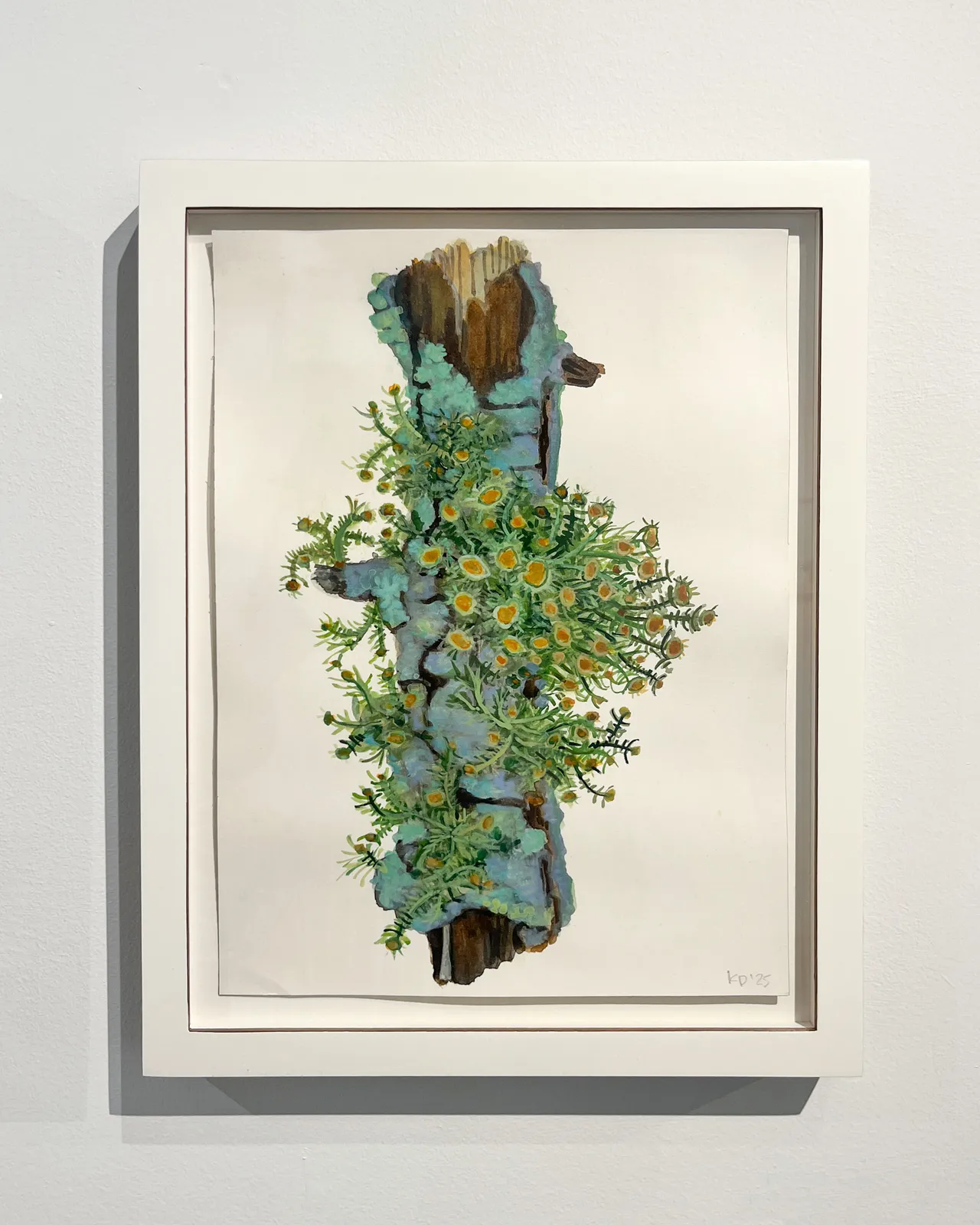 Katie DeGroot, Little Limb lV, 2025