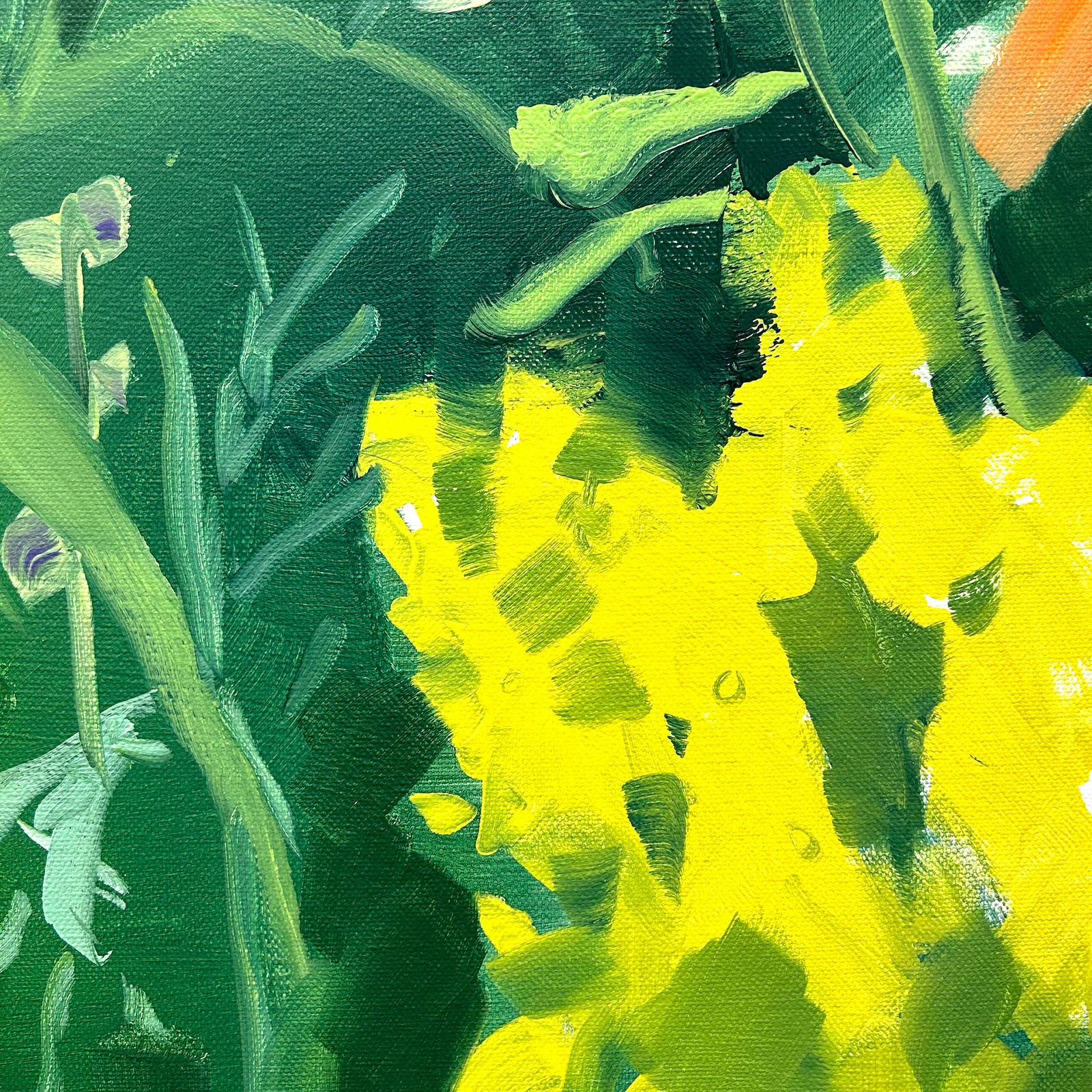 Sara MacCulloch, Charlotte's Garden, 2023