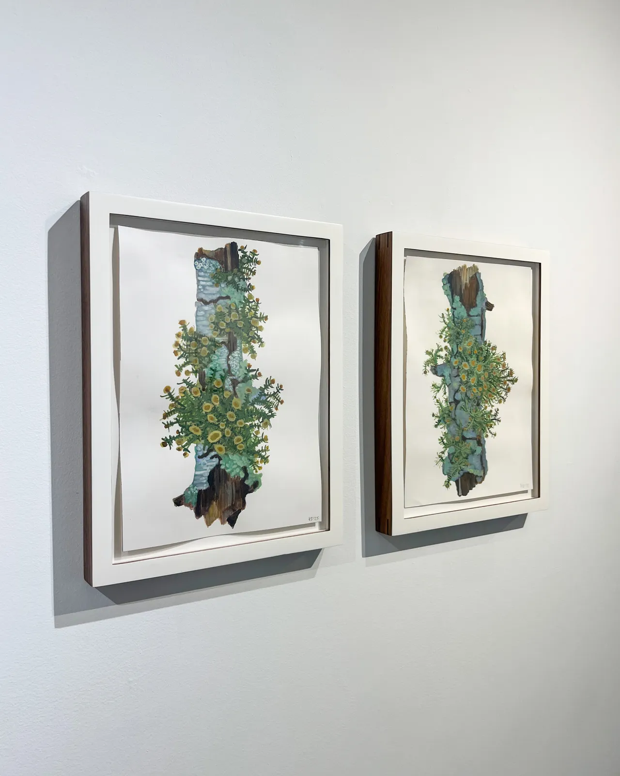 Katie DeGroot, Little Limb lll, 2025