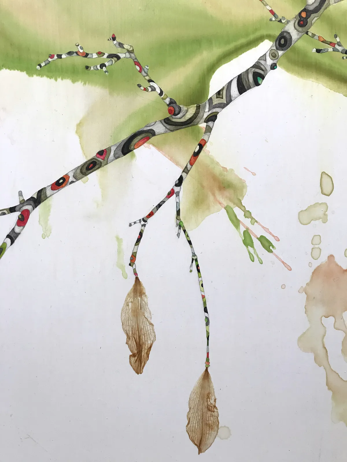 Marilla Palmer, Dangling Iris, 2013