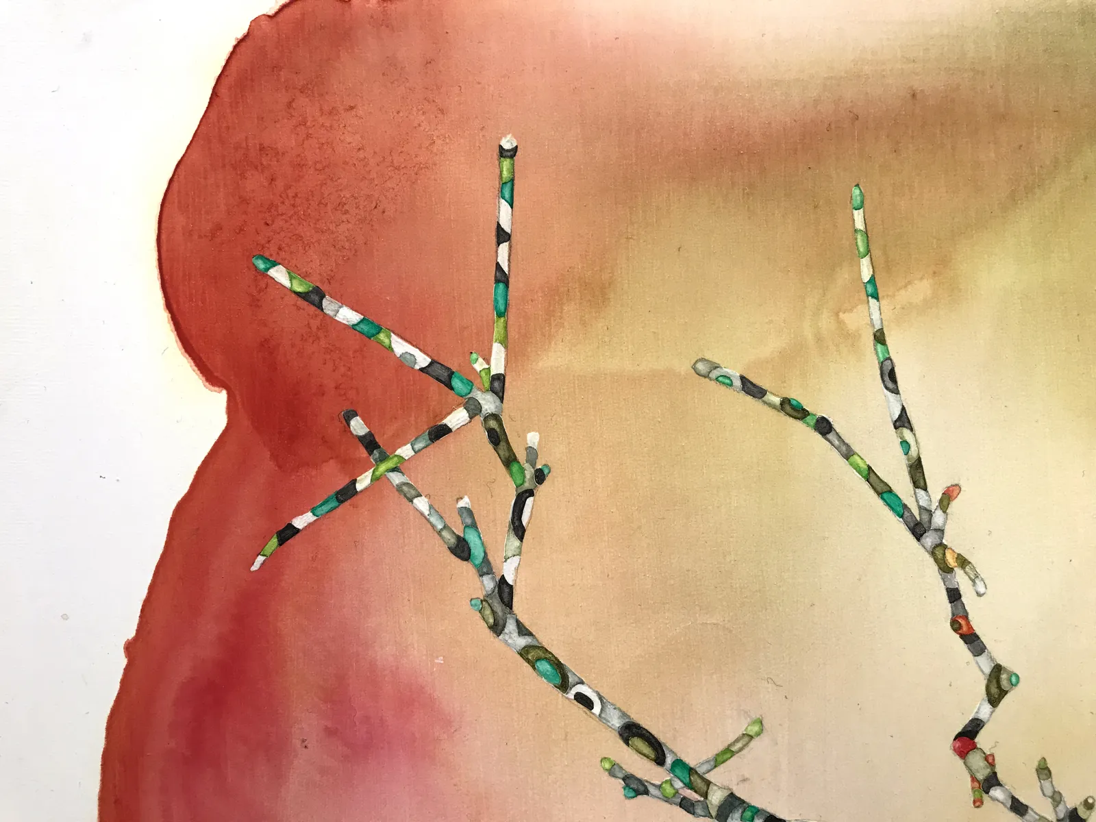 Marilla Palmer, Dangling Iris, 2013