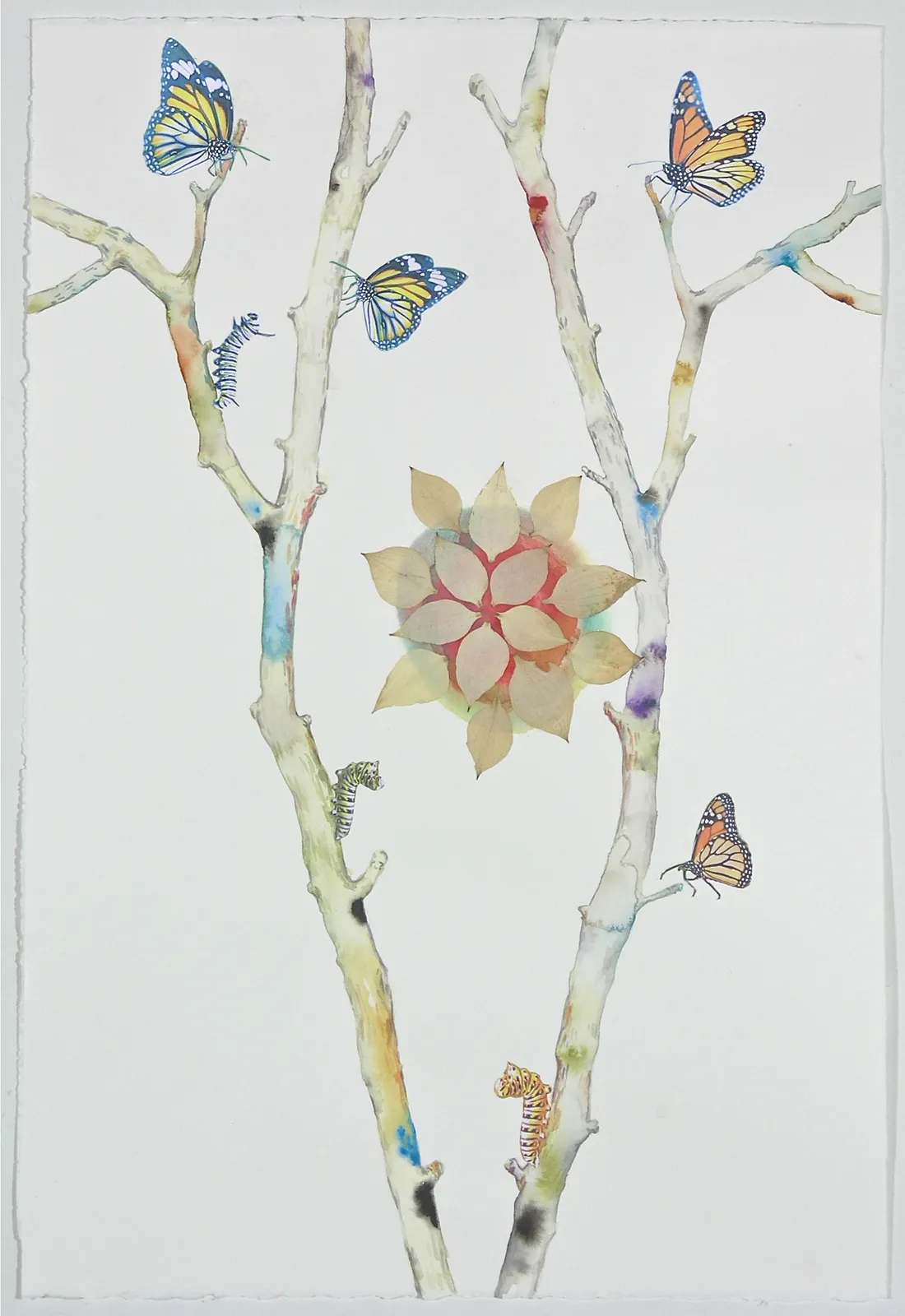 Marilla Palmer, Monarchs and Mandalas, 2019