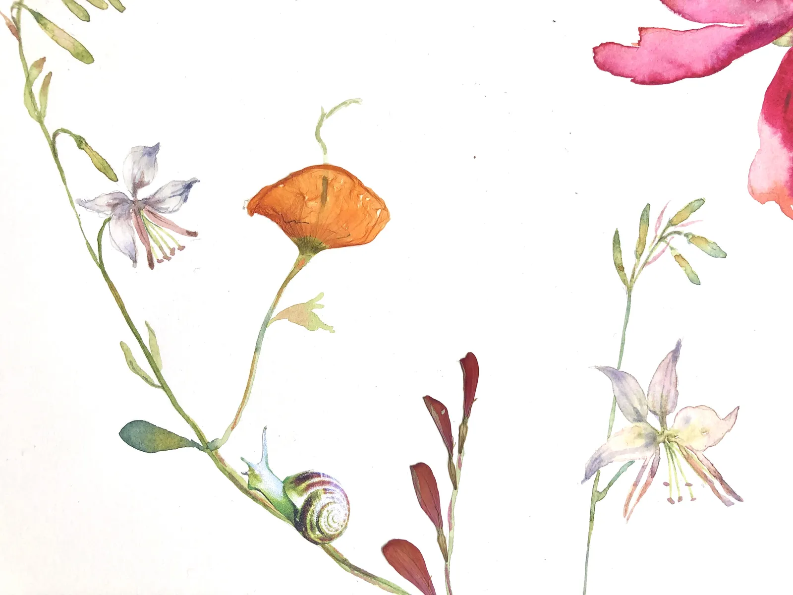 Marilla Palmer, Poppy, Peony, and Poppy, 2020