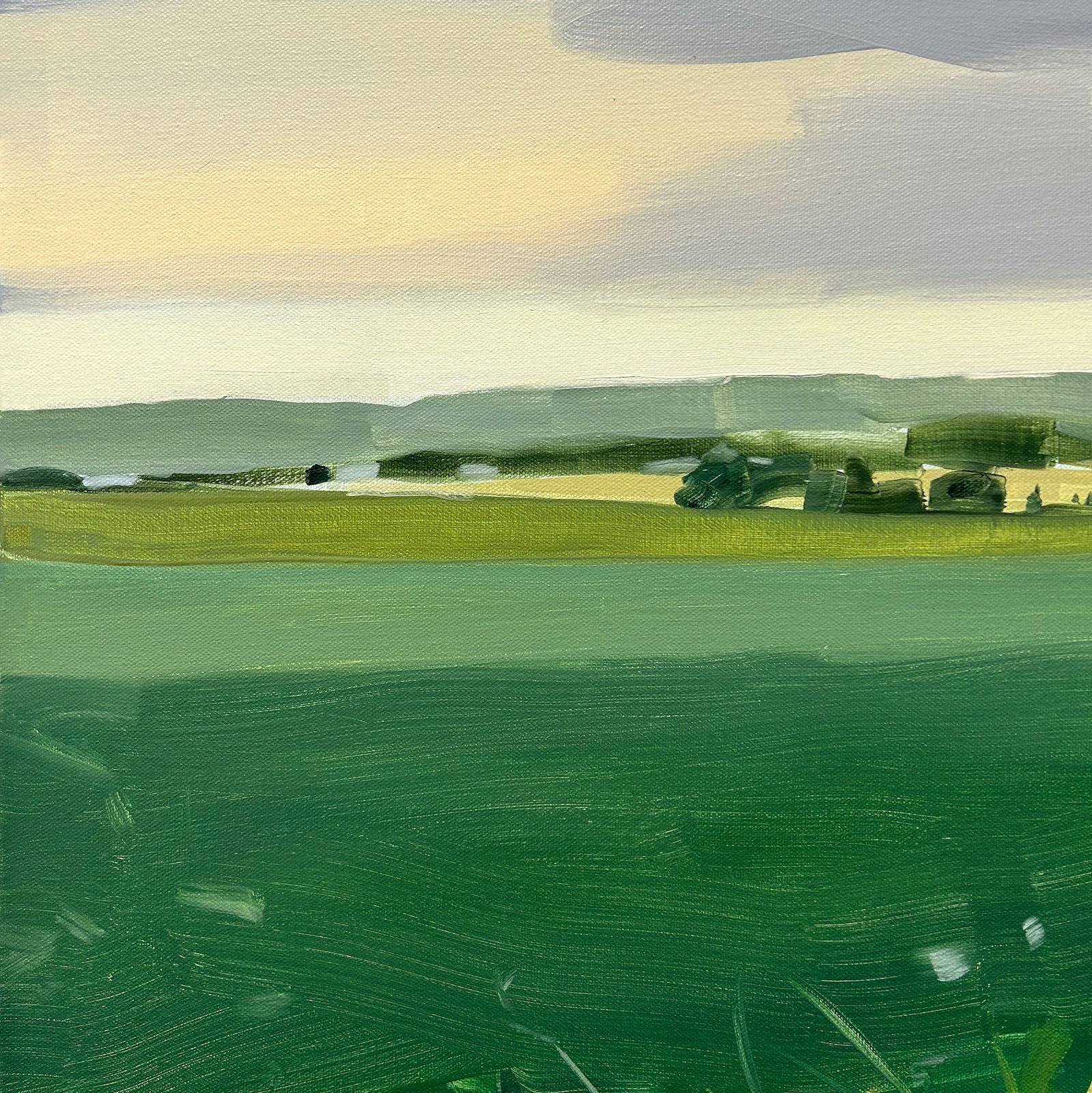 Sara MacCulloch, Summer Fields, 2023