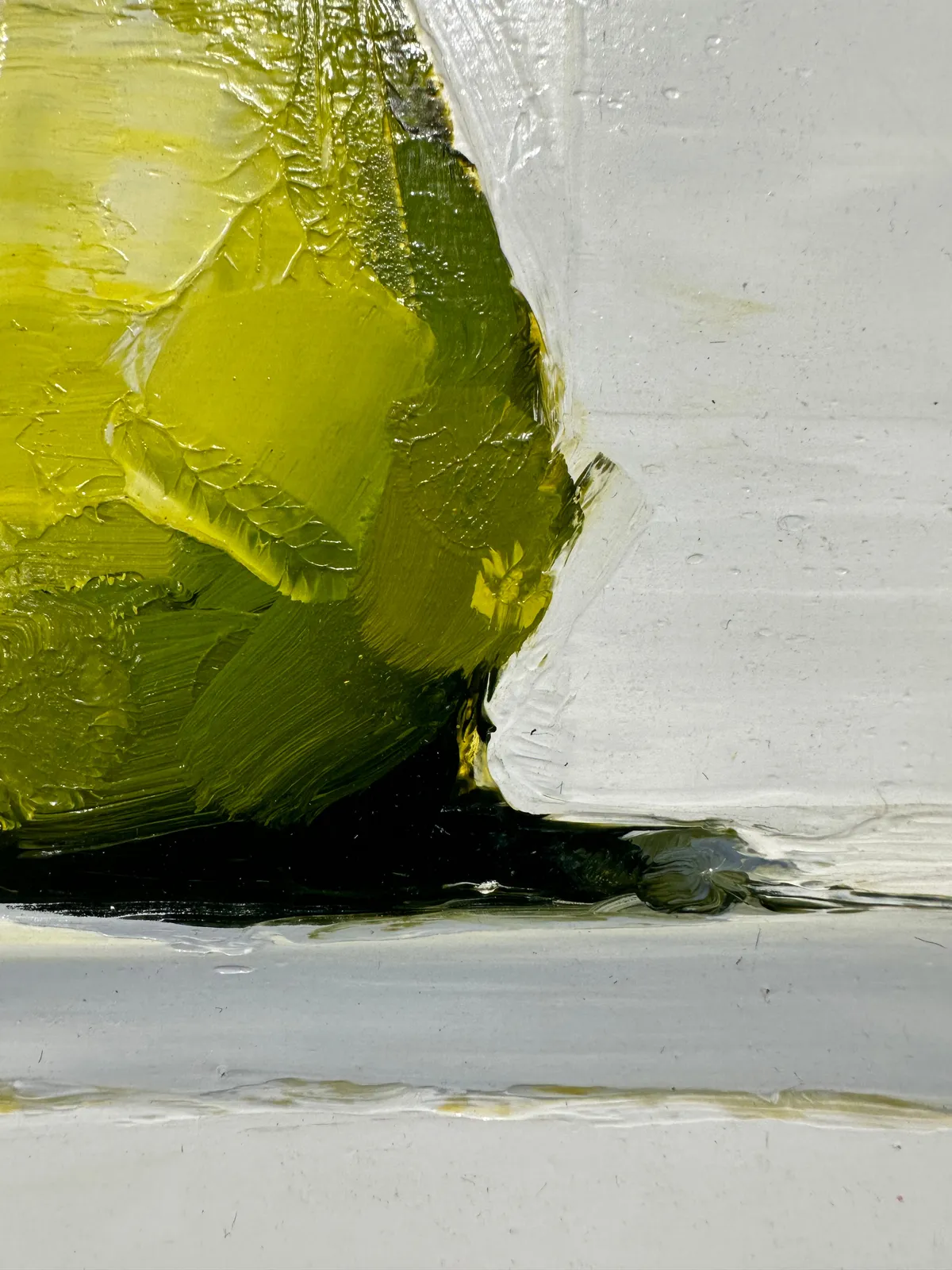 Stanley Bielen, Soloist, 2023