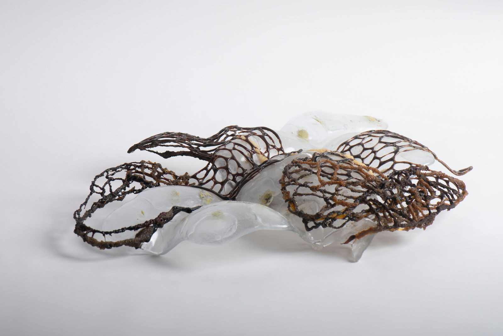 Nancy Cohen, Memory of a Body, 2023-24