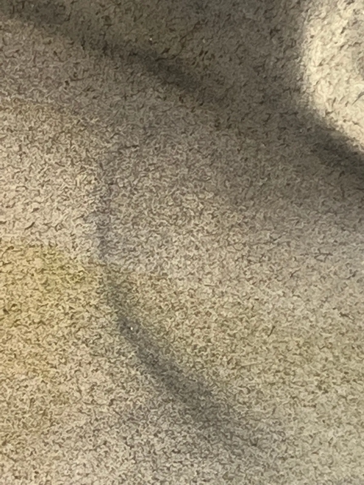 Samantha Haring, Glazed, 2024