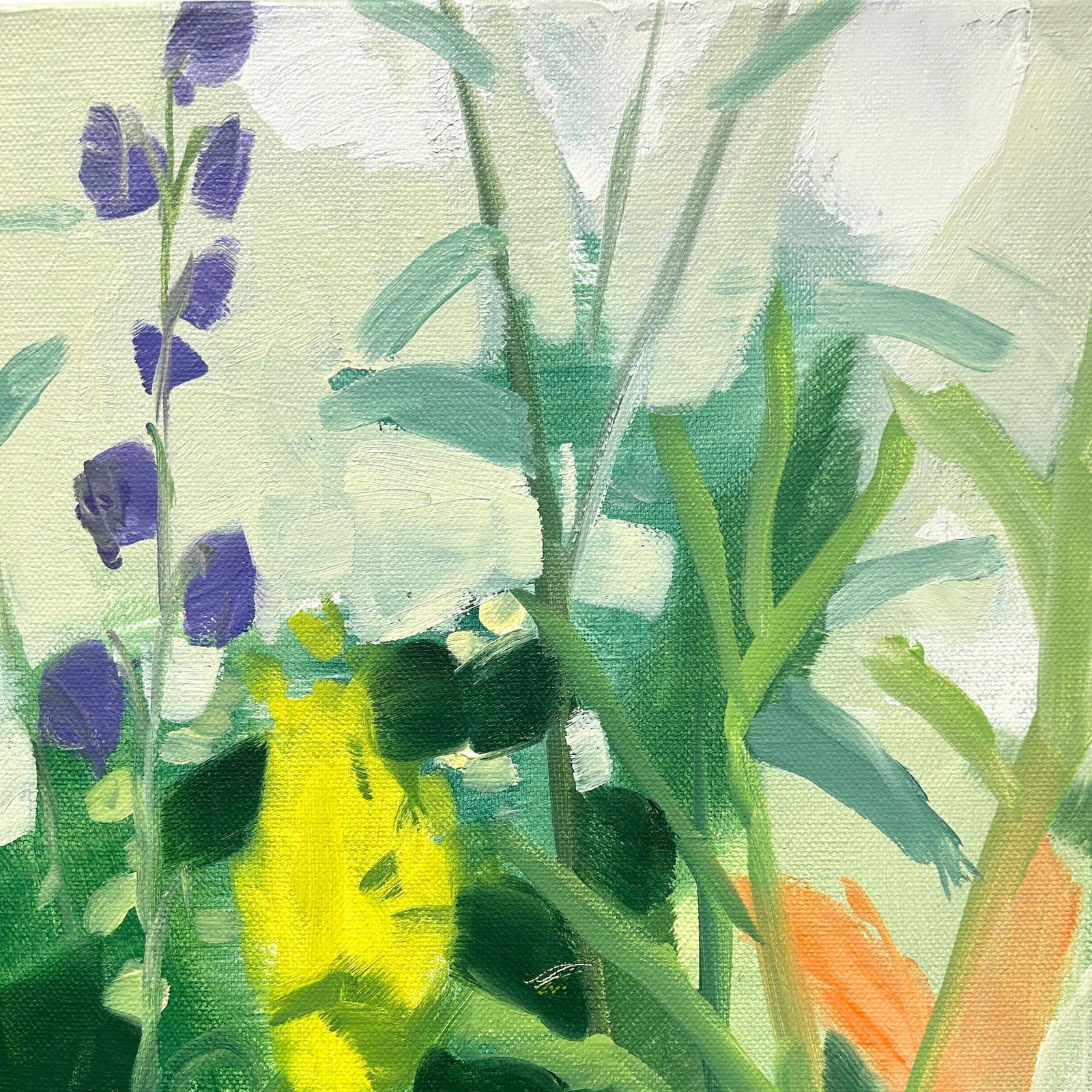 Sara MacCulloch, Charlotte's Garden, 2023