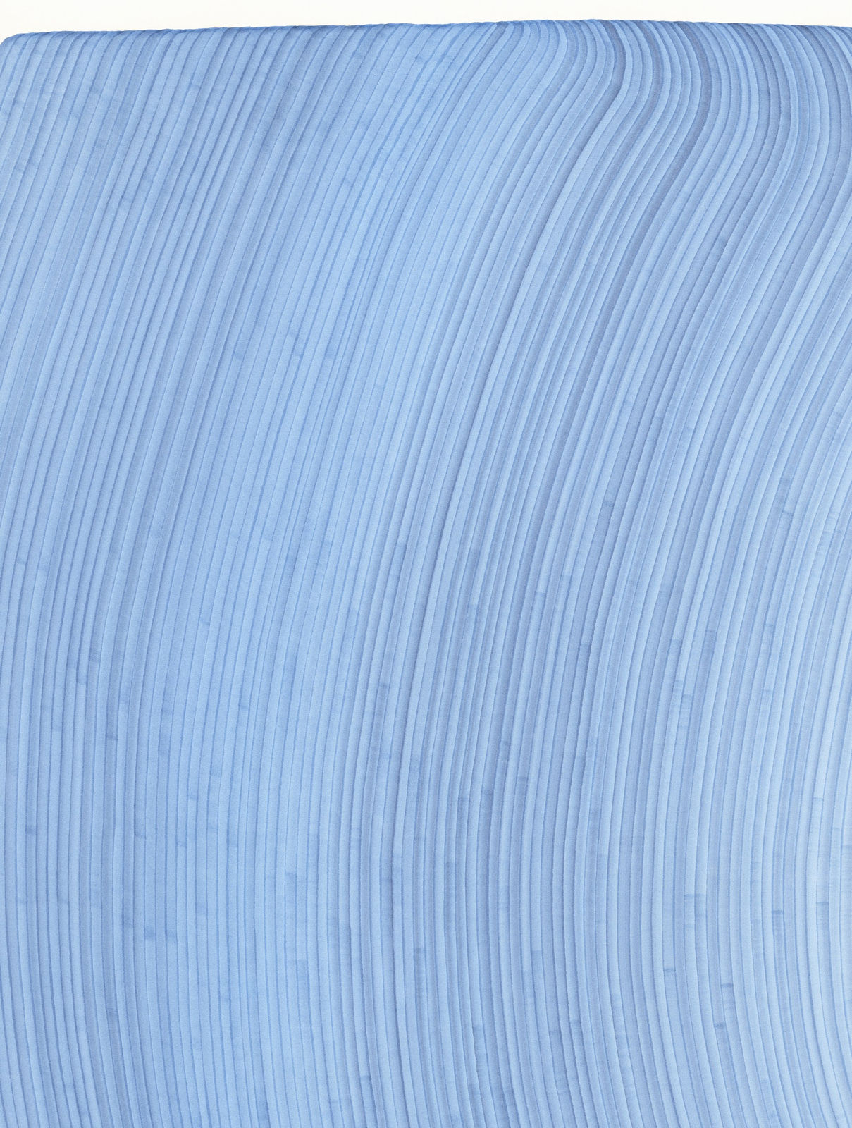 Dana Piazza, Lines 297, 2025