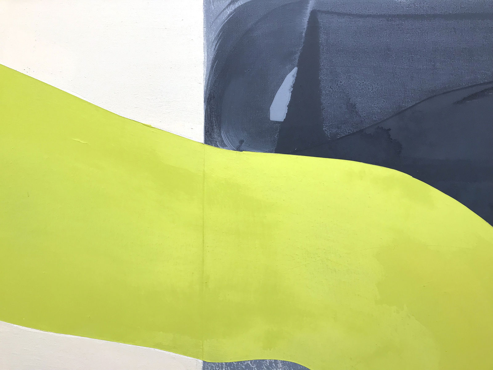 Marcelyn McNeil, Shifting Focus, 2017