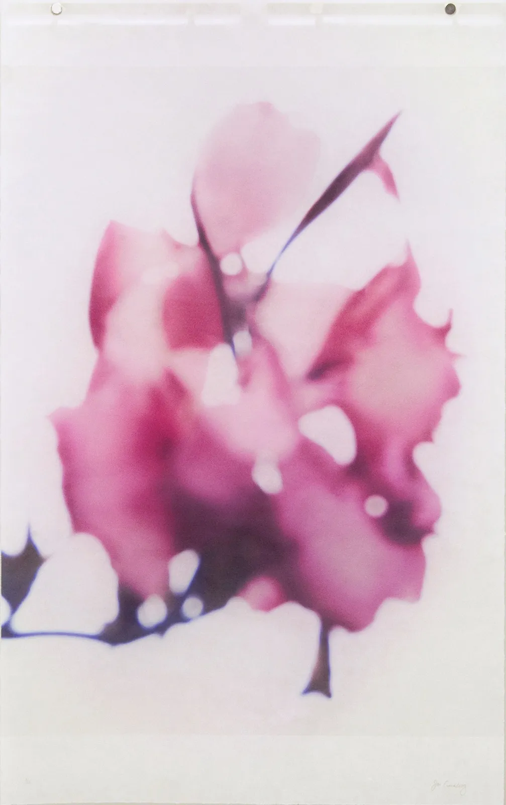 Jeri Eisenberg, Canna No.5, 2020