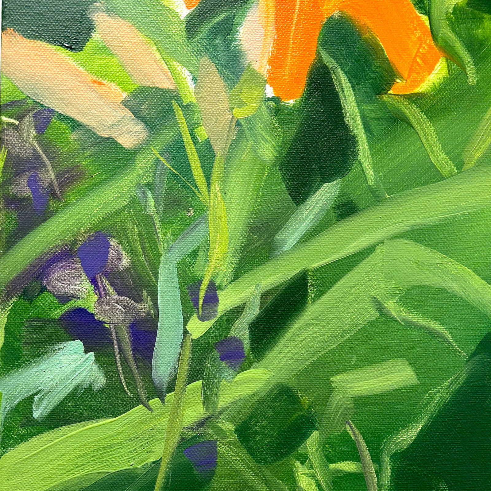 Sara MacCulloch, Charlotte's Garden, 2023