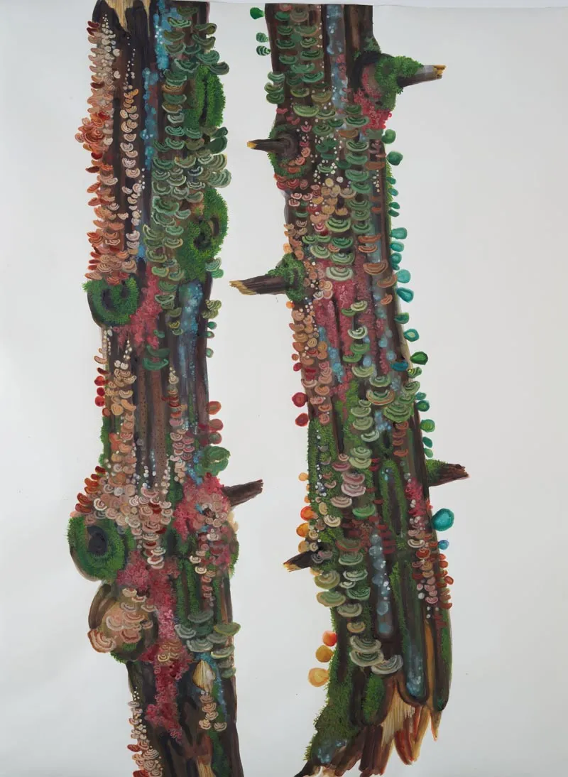 Katie DeGroot, Natural Attraction, 2015