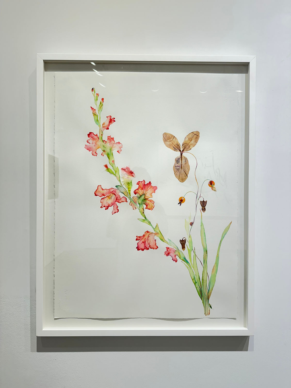 Marilla Palmer, Giotto's Pink, 2023