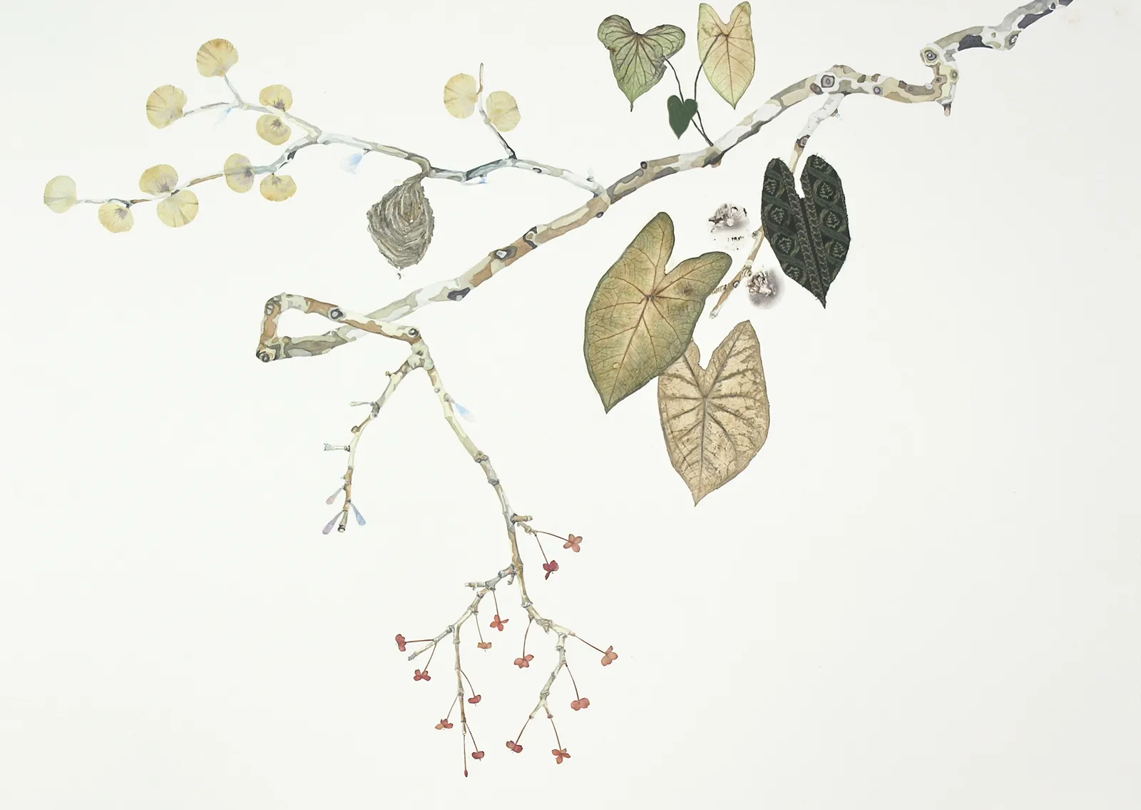 Marilla Palmer, The Wasp in the Garden , 2017