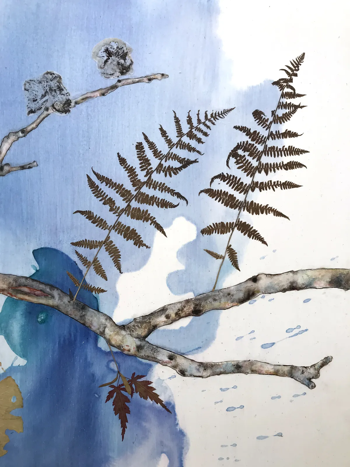 Marilla Palmer, Fruit of the Japanese Maple, 2013