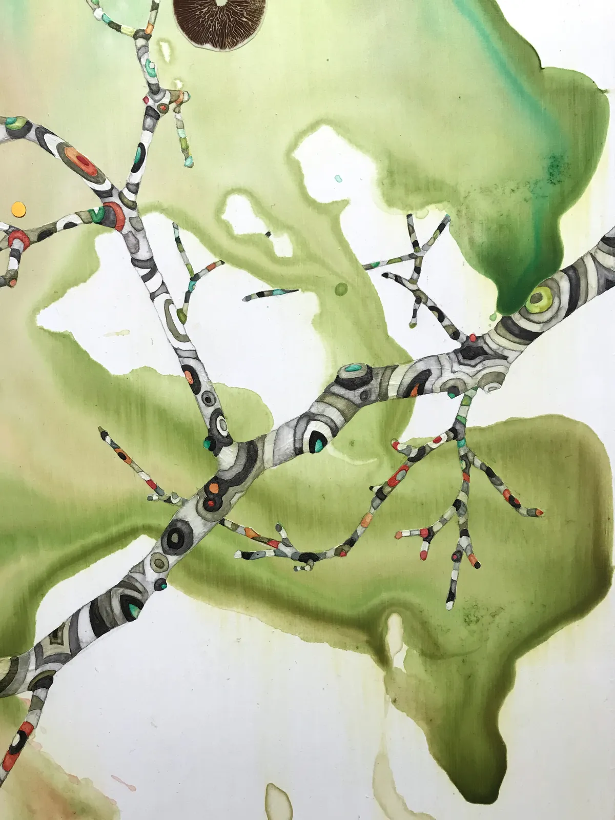 Marilla Palmer, Dangling Iris, 2013