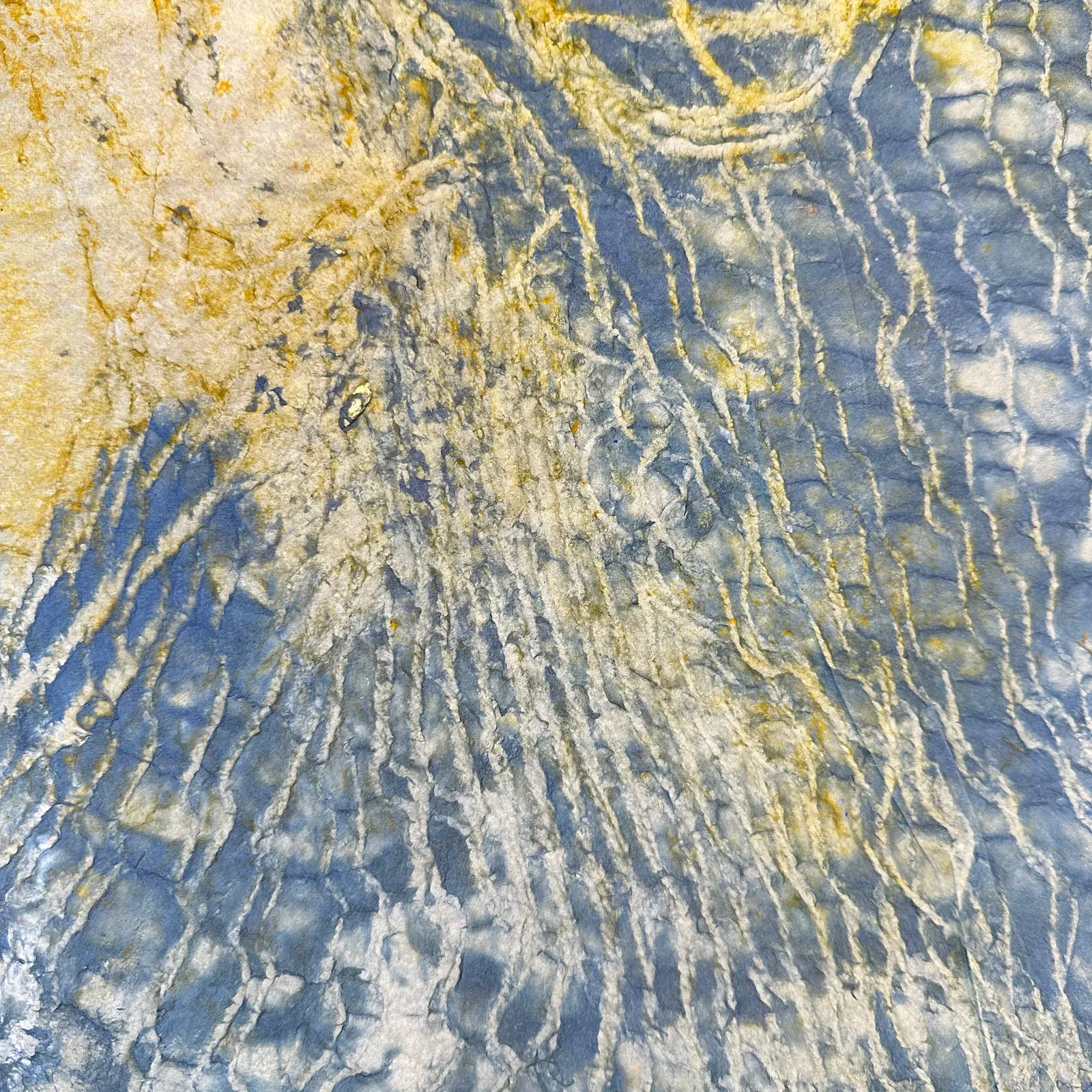 Nancy Cohen, Breathing Room, 2023