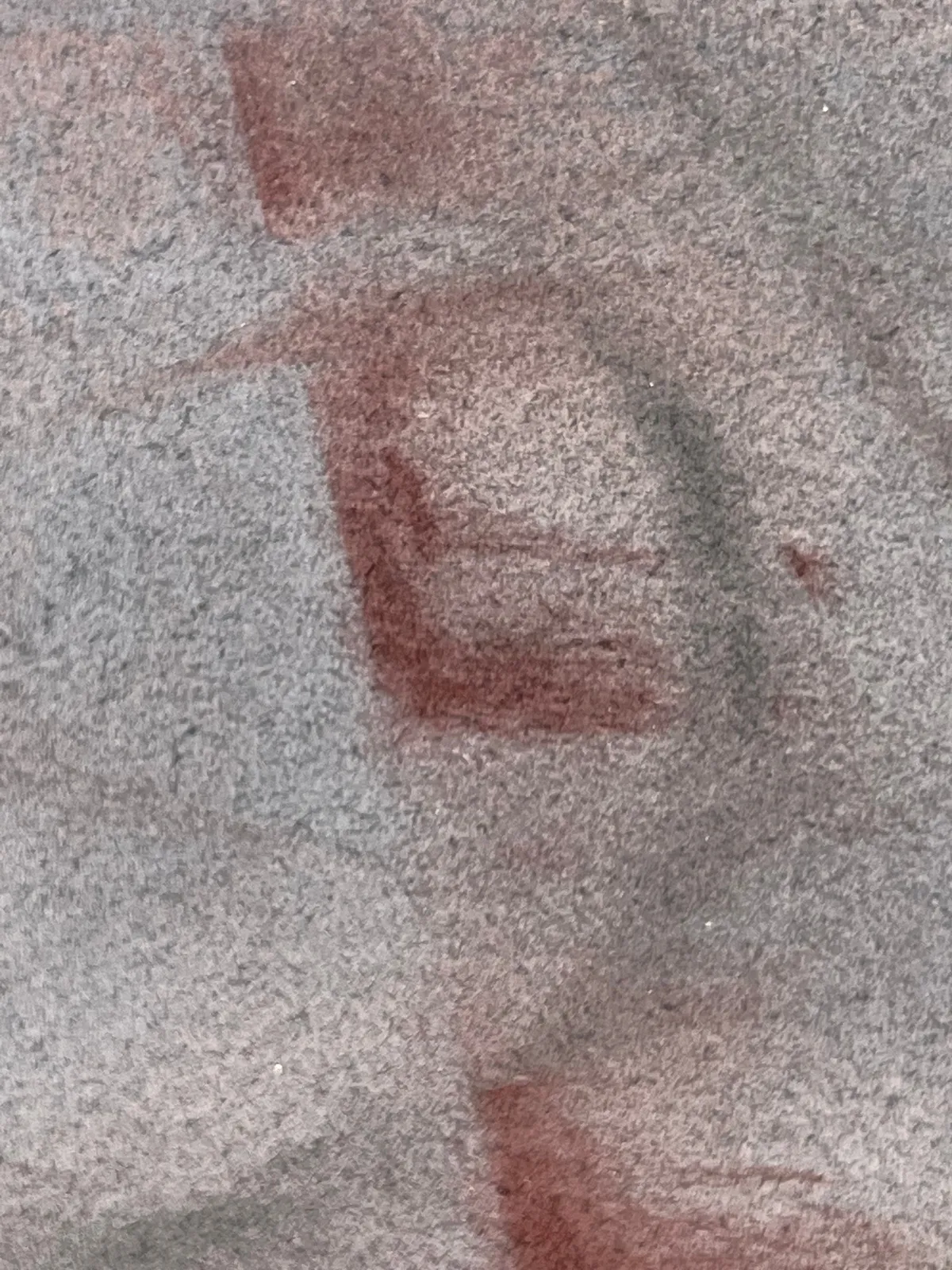 Samantha Haring, Cloudy, 2024