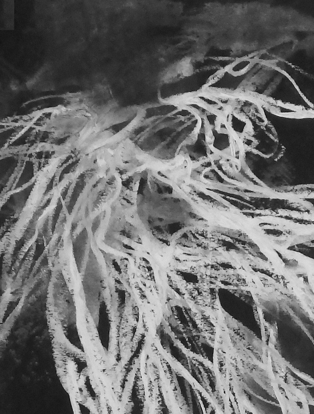 Tamar Zinn, Voices in the stream 20, 2025