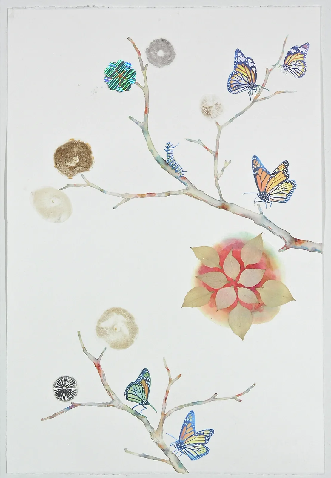 Marilla Palmer, Monarchs and Mandalas, 2019