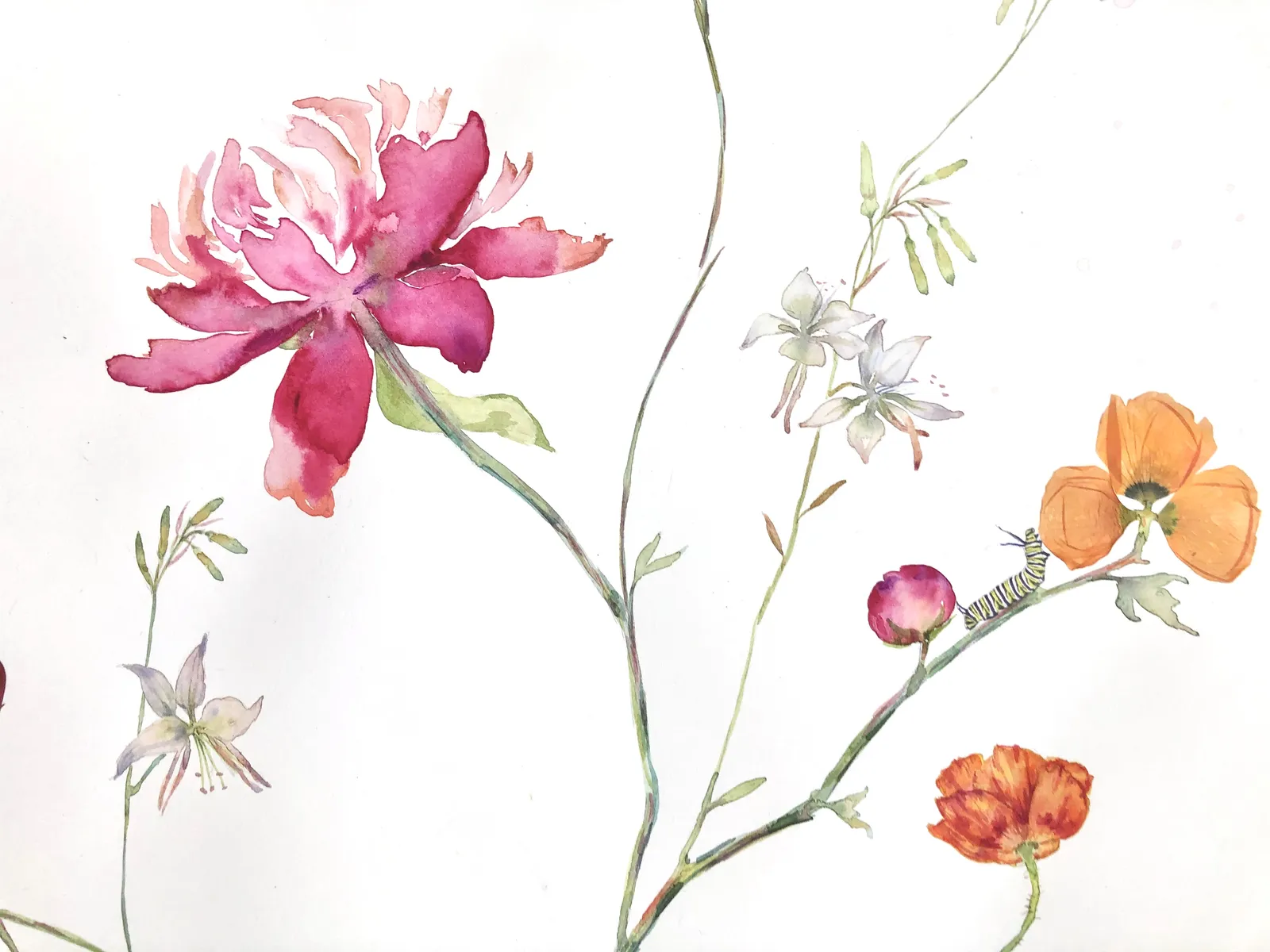 Marilla Palmer, Poppy, Peony, and Poppy, 2020