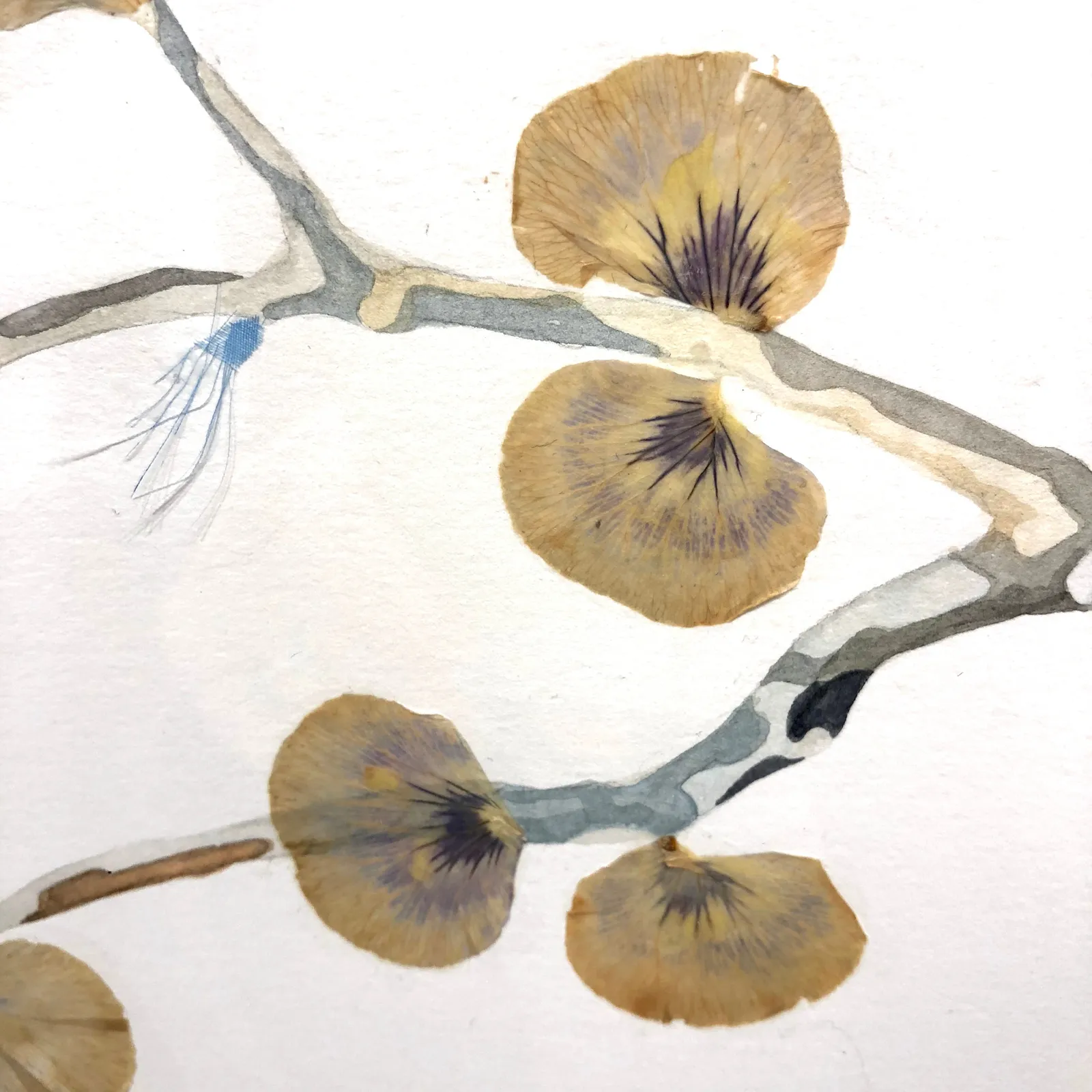 Marilla Palmer, The Wasp in the Garden , 2017