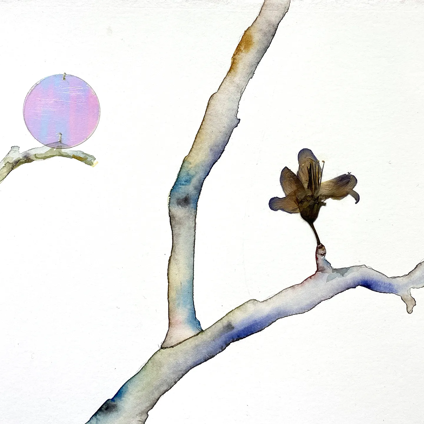 Marilla Palmer, Flying Over the River, 2019