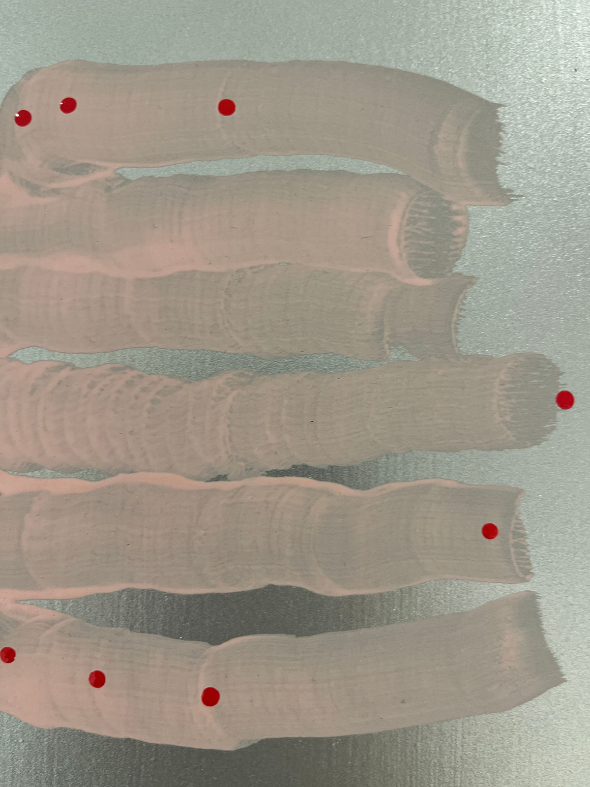 Laura Bidwa, Pink Thought 2, 2022