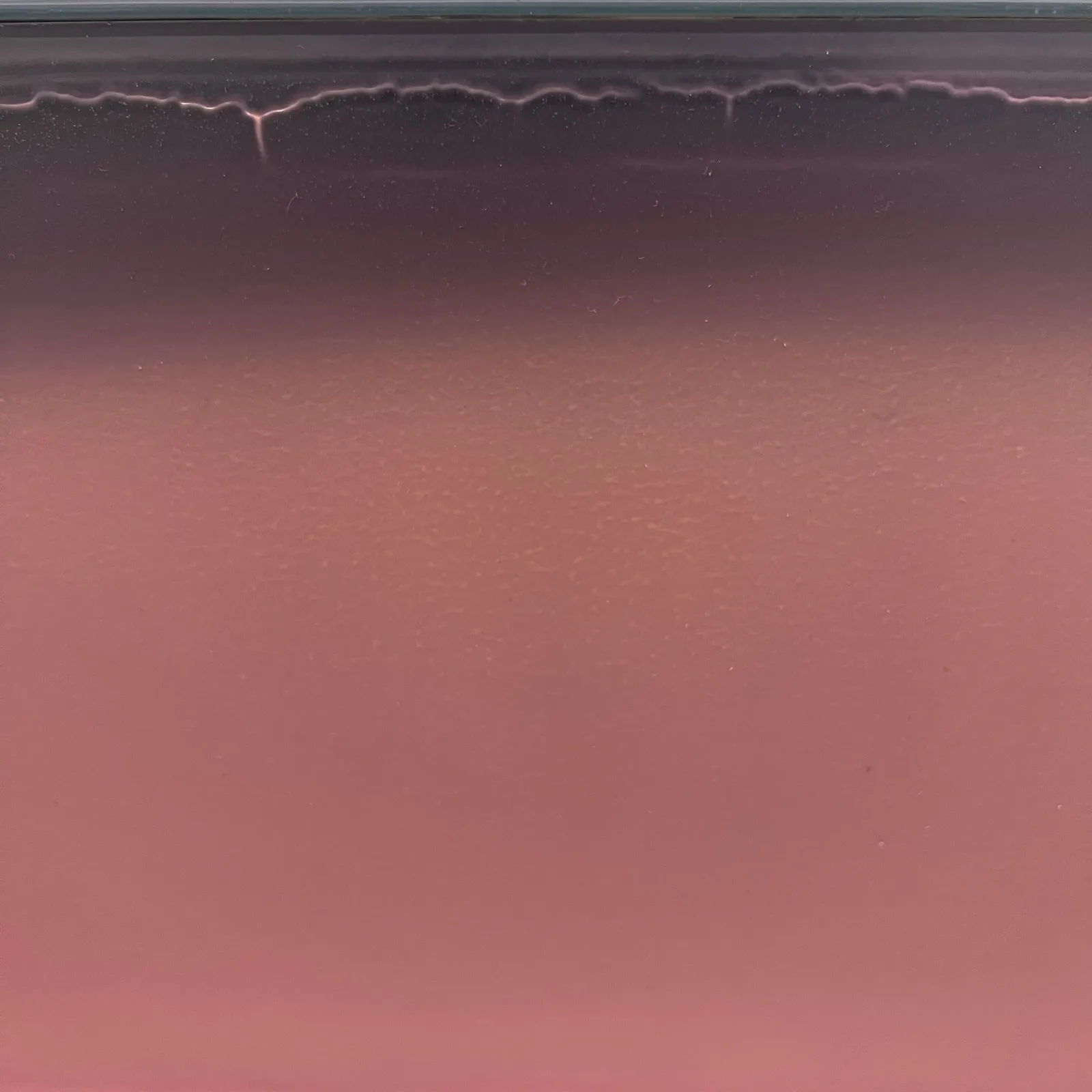 Susan English, Winter Sound, 2022