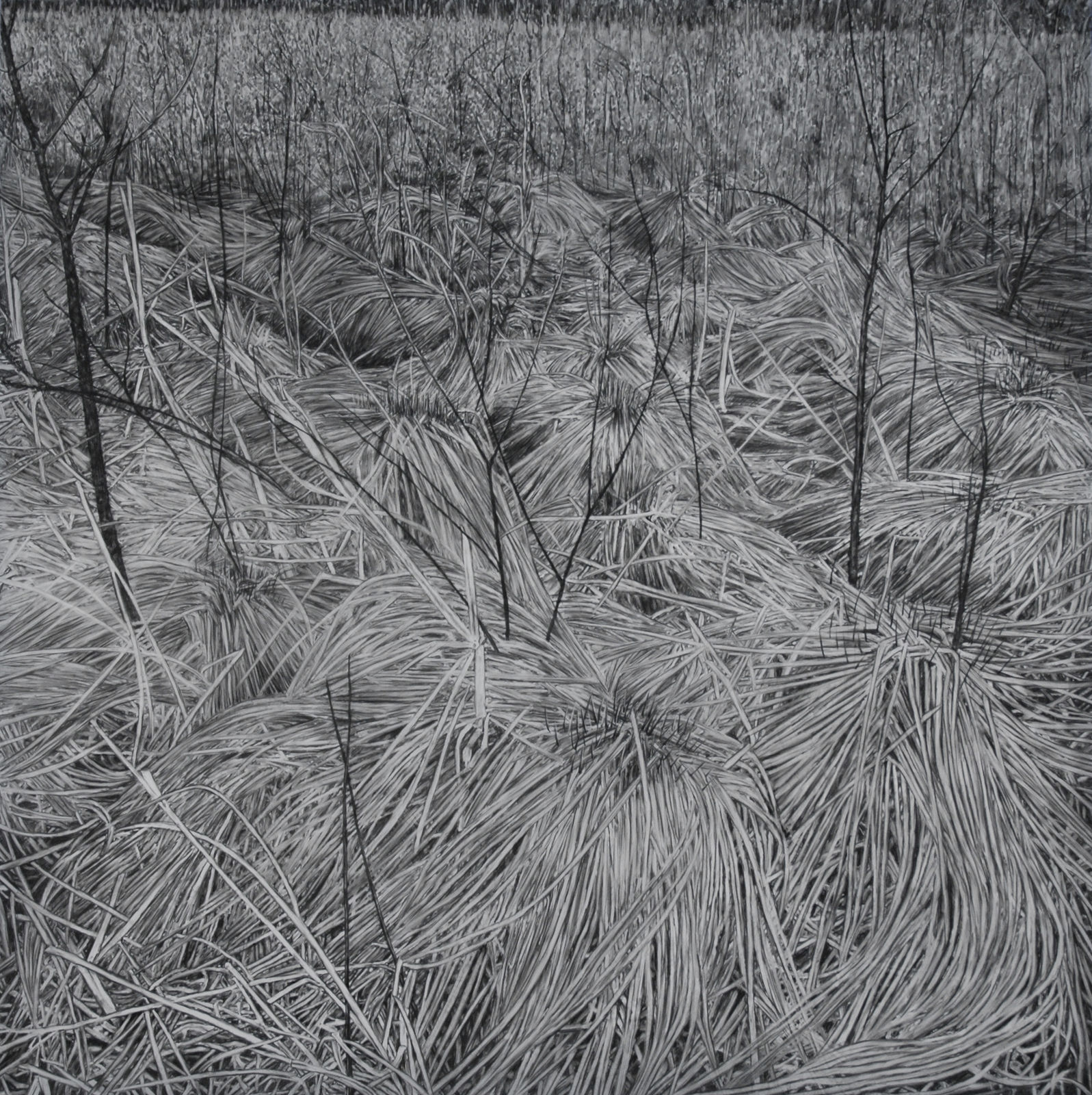 Cristina De Gennaro, Westtown, NY, 2022