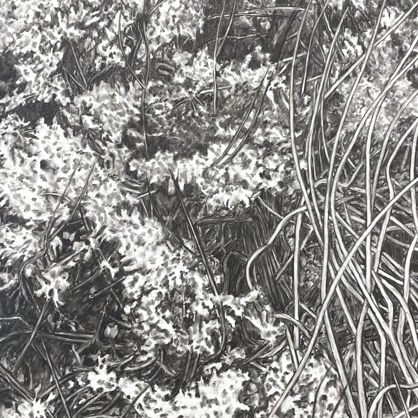 Cristina De Gennaro, Sage XII, 2021