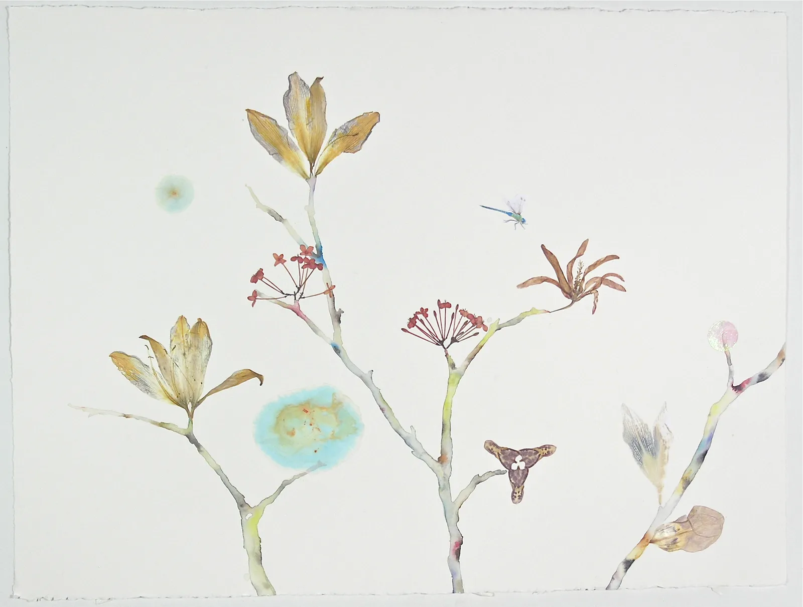 Marilla Palmer, Flying Over the River, 2019