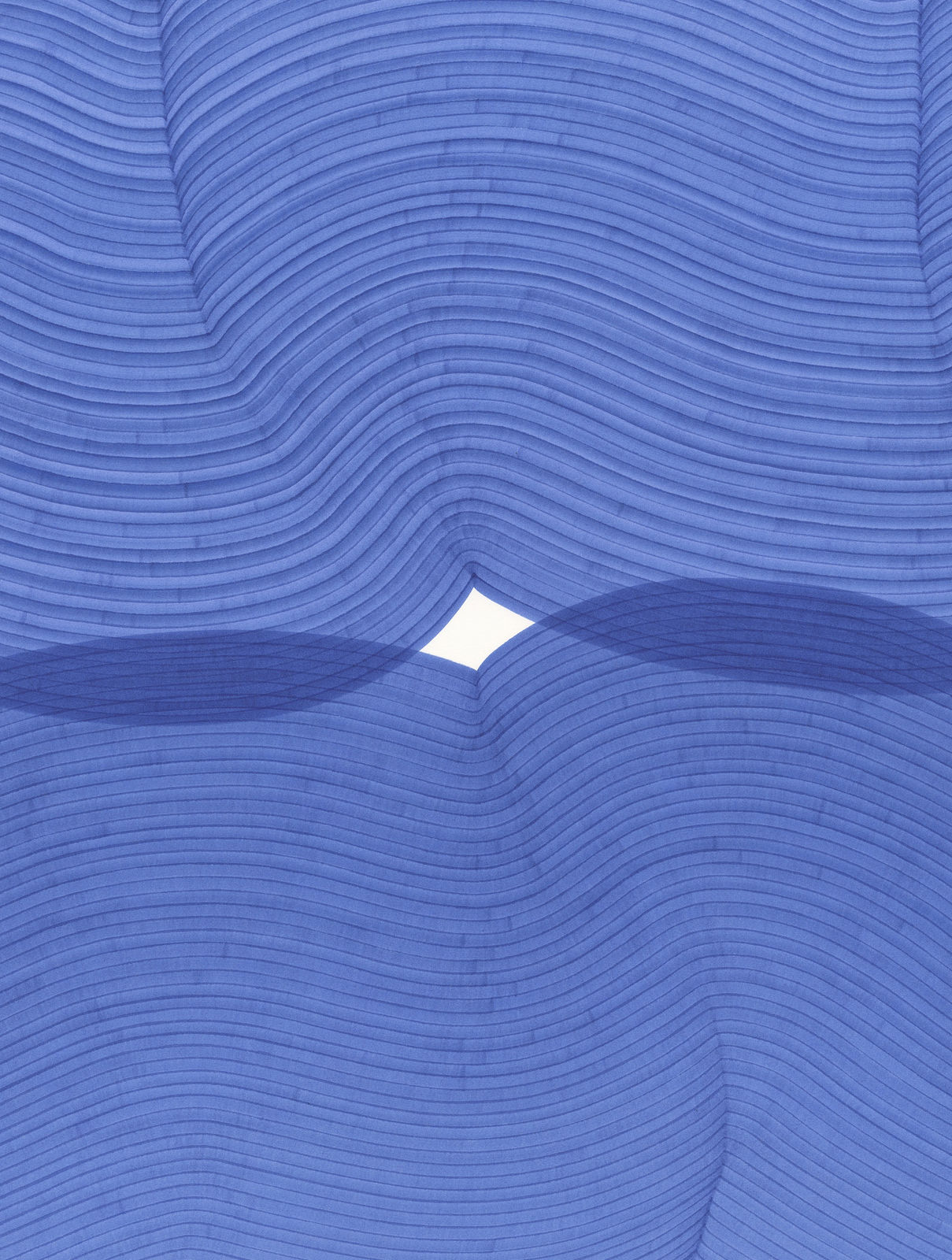 Dana Piazza, Lines 311, 2025