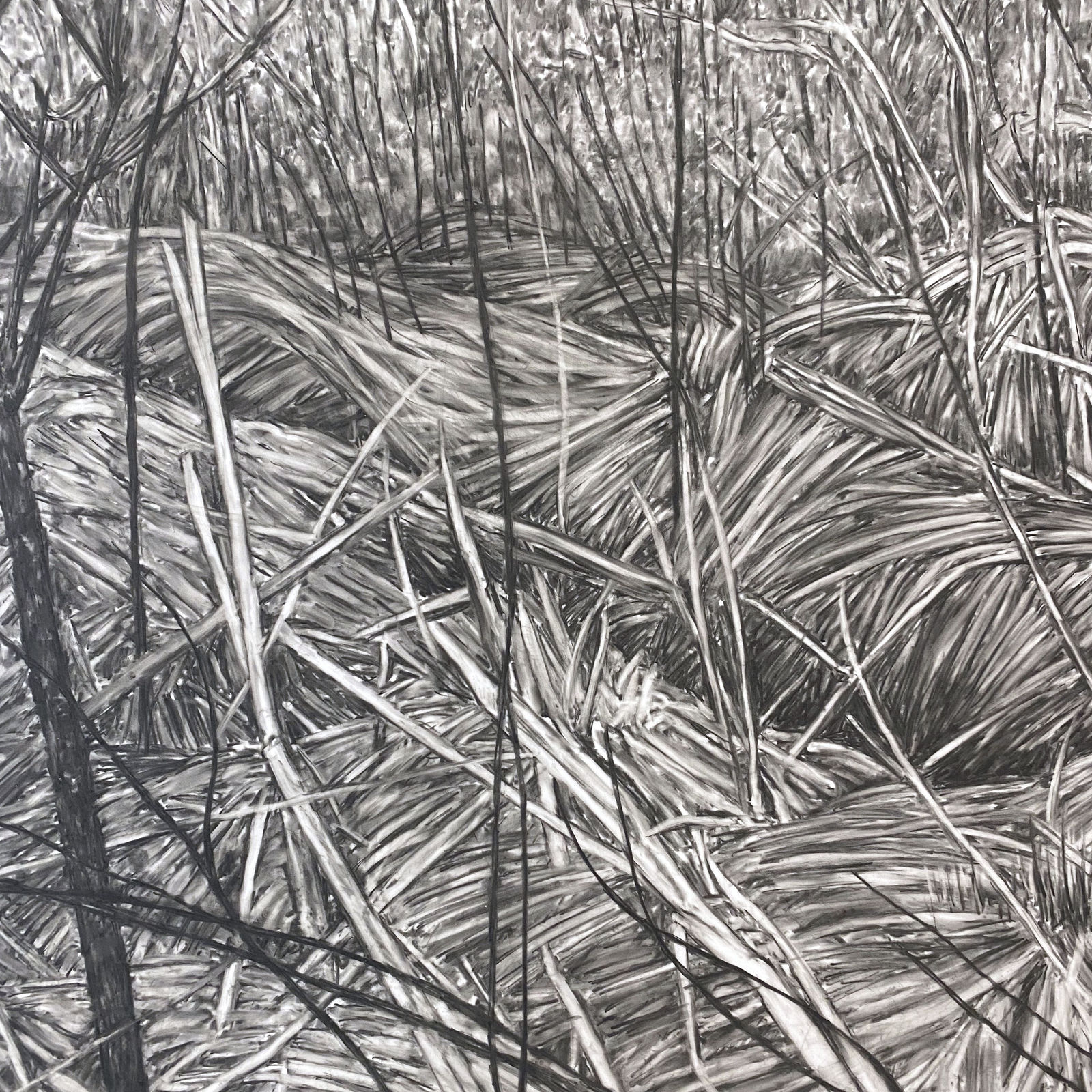 Cristina De Gennaro, Westtown, NY, 2022