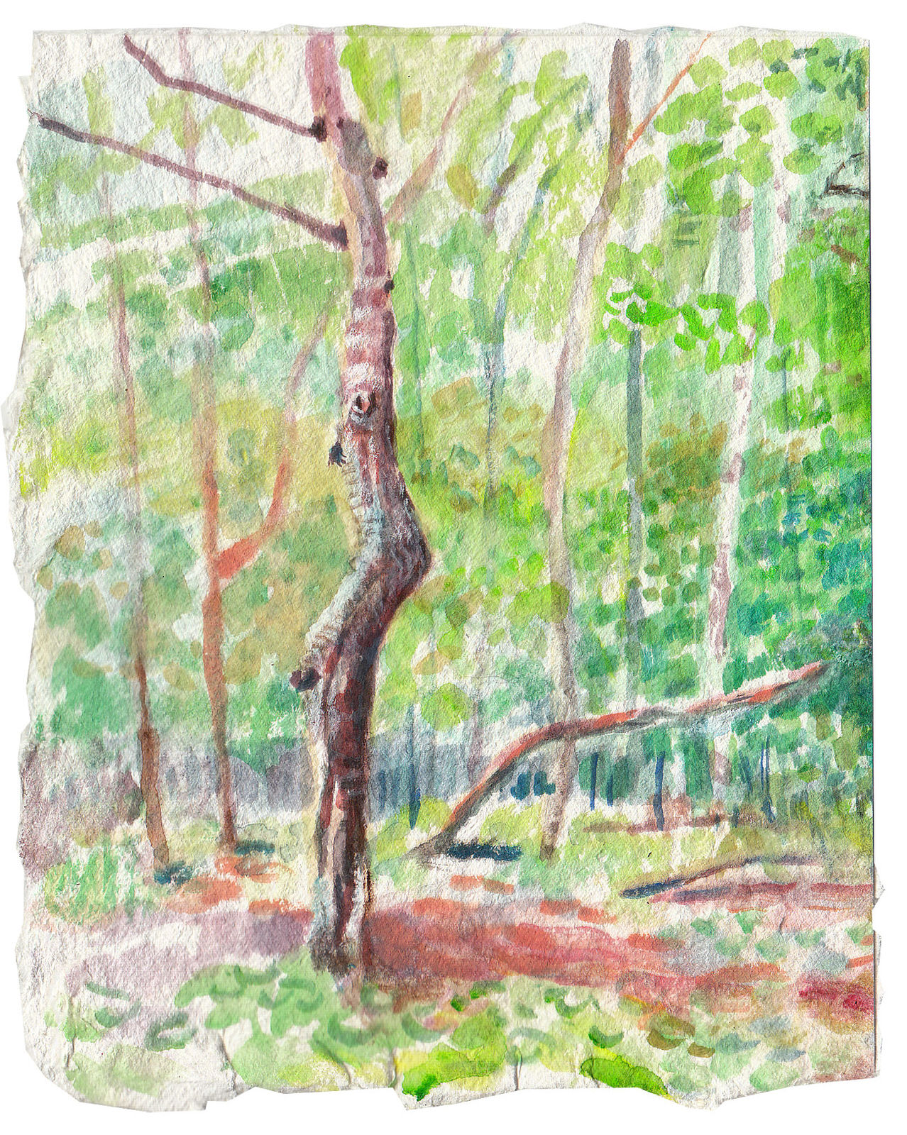 Watercolor of tree in forest