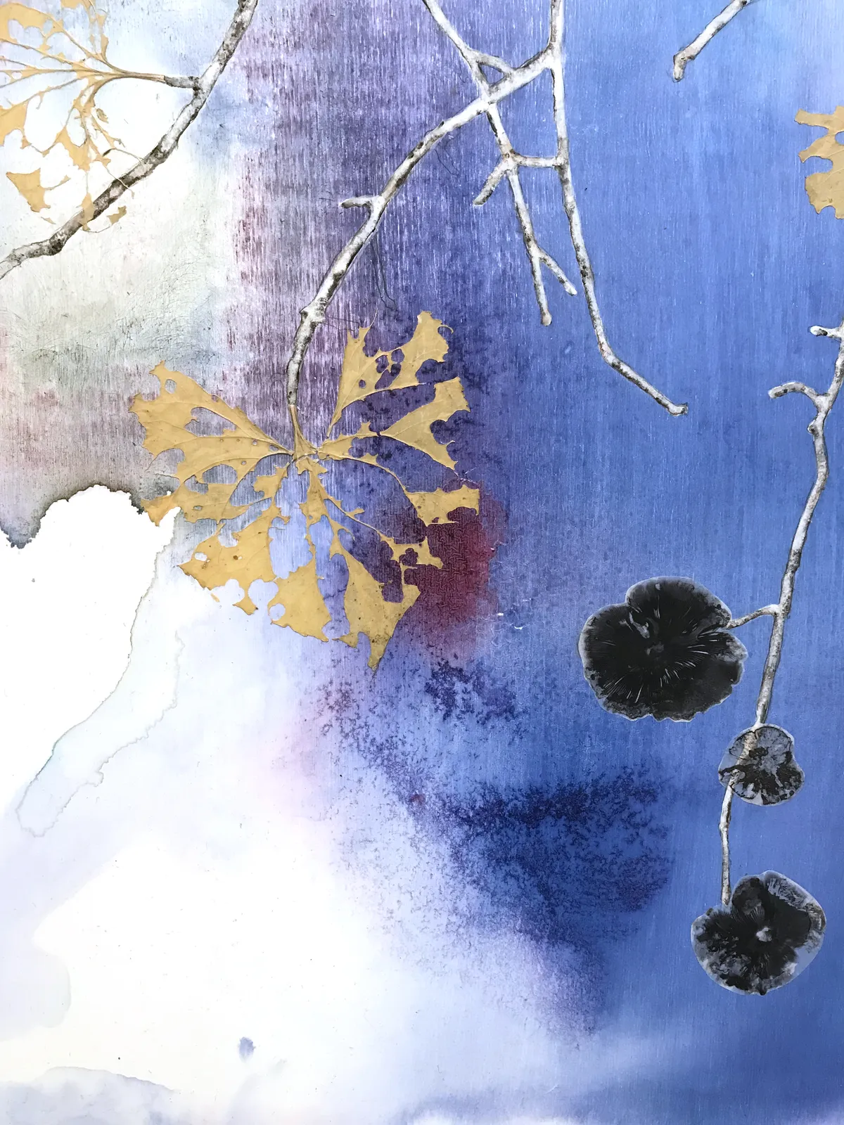 Marilla Palmer, Fruit of the Japanese Maple, 2013