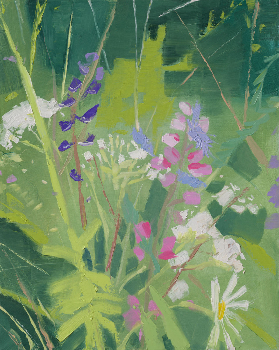 Sara MacCulloch, Wildflowers in Castine, 2023