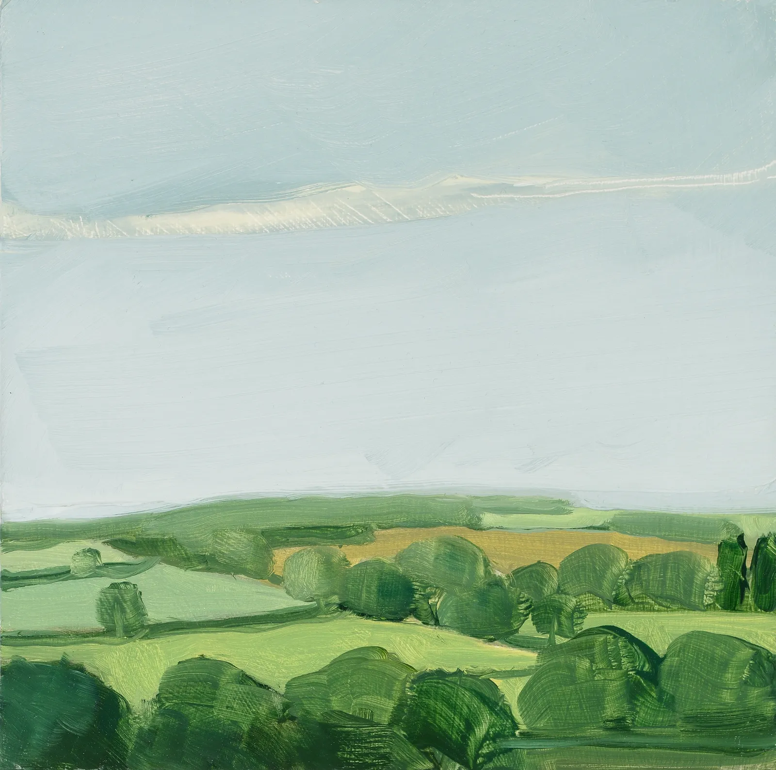 Sara MacCulloch, Trees and Fields, England, 2009