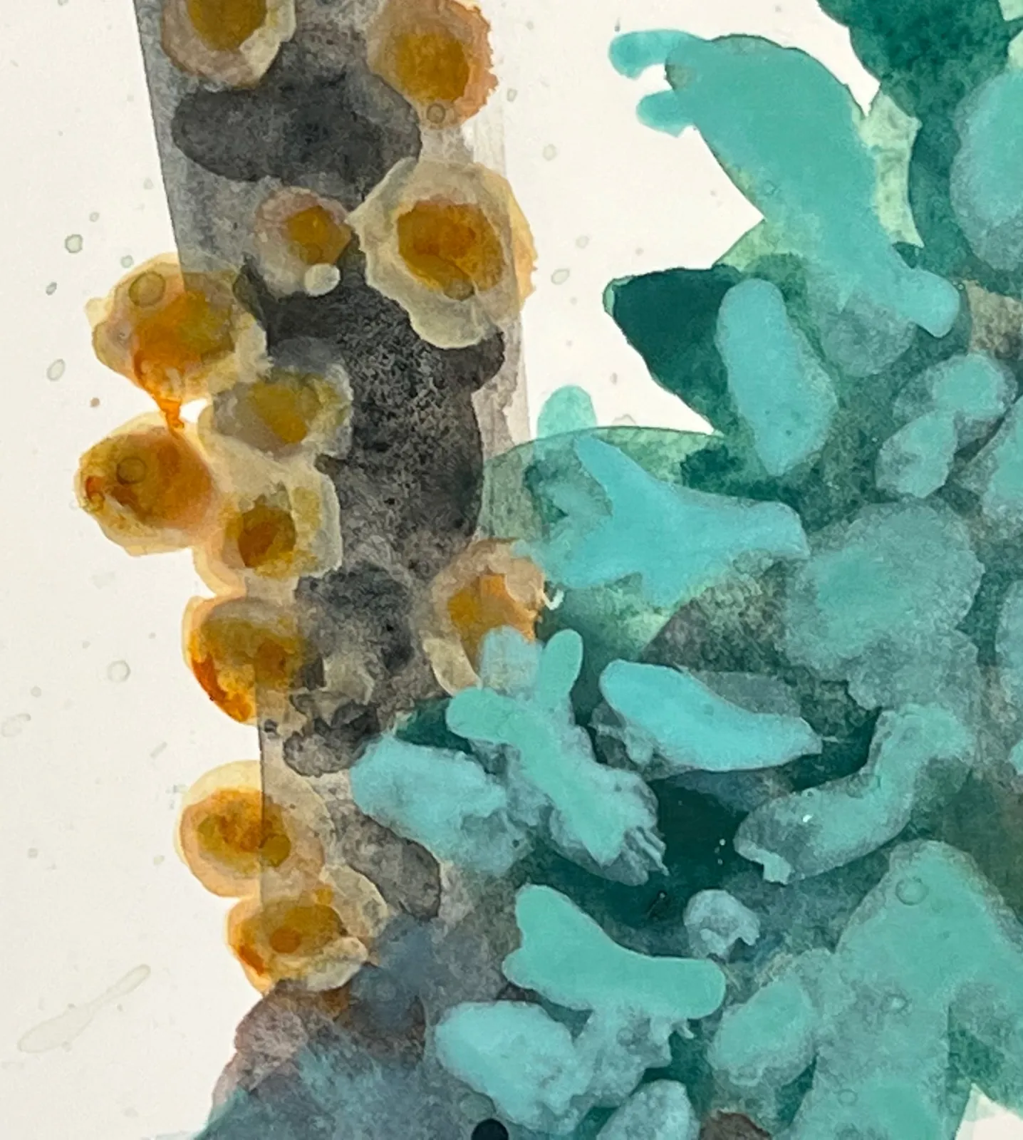 Katie DeGroot, Family Discussions, 2023