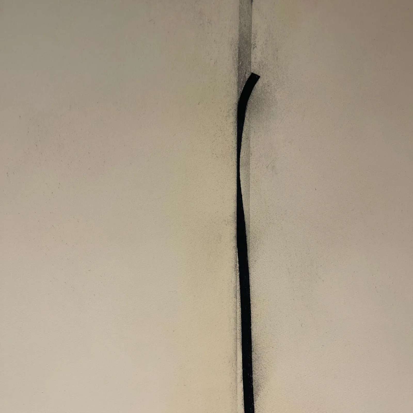 Daniel Brice, Figure/Pacific #6, 2022