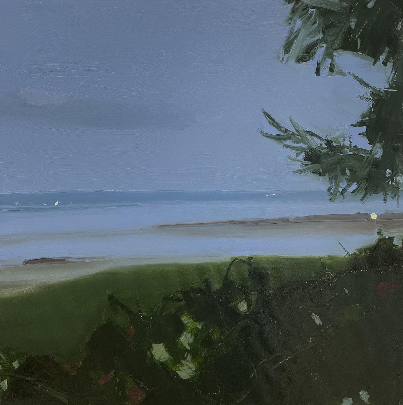 Sara MacCulloch, Rosebushes in Kingsport, 2021