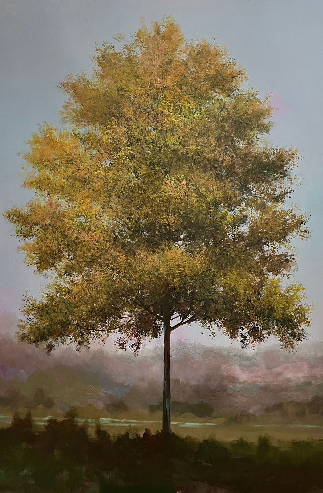 Peter Hoffer, Minerva, 2024