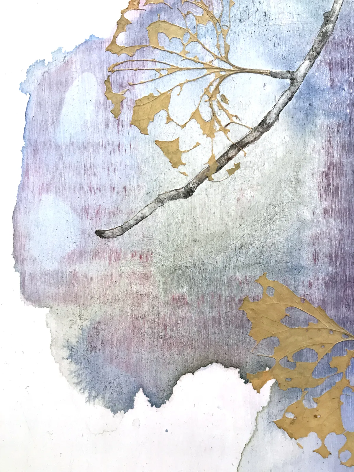 Marilla Palmer, Fruit of the Japanese Maple, 2013