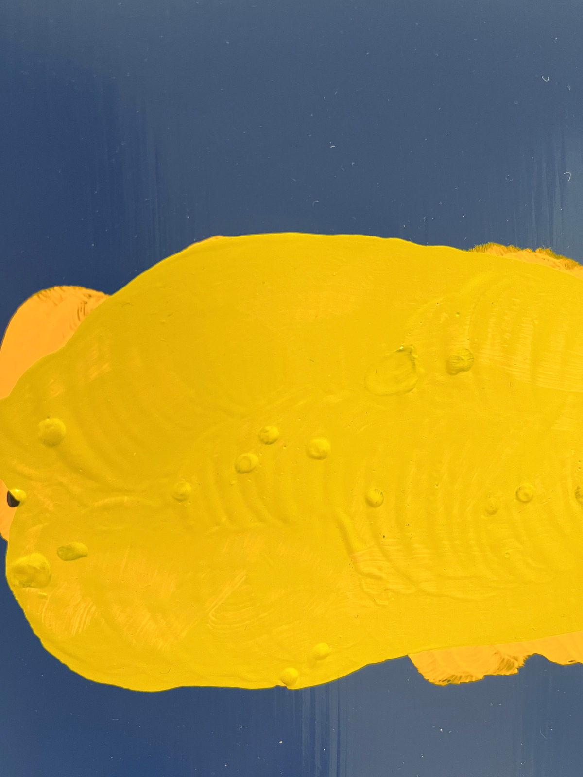 Laura Bidwa, Artist Talk 15, 2023